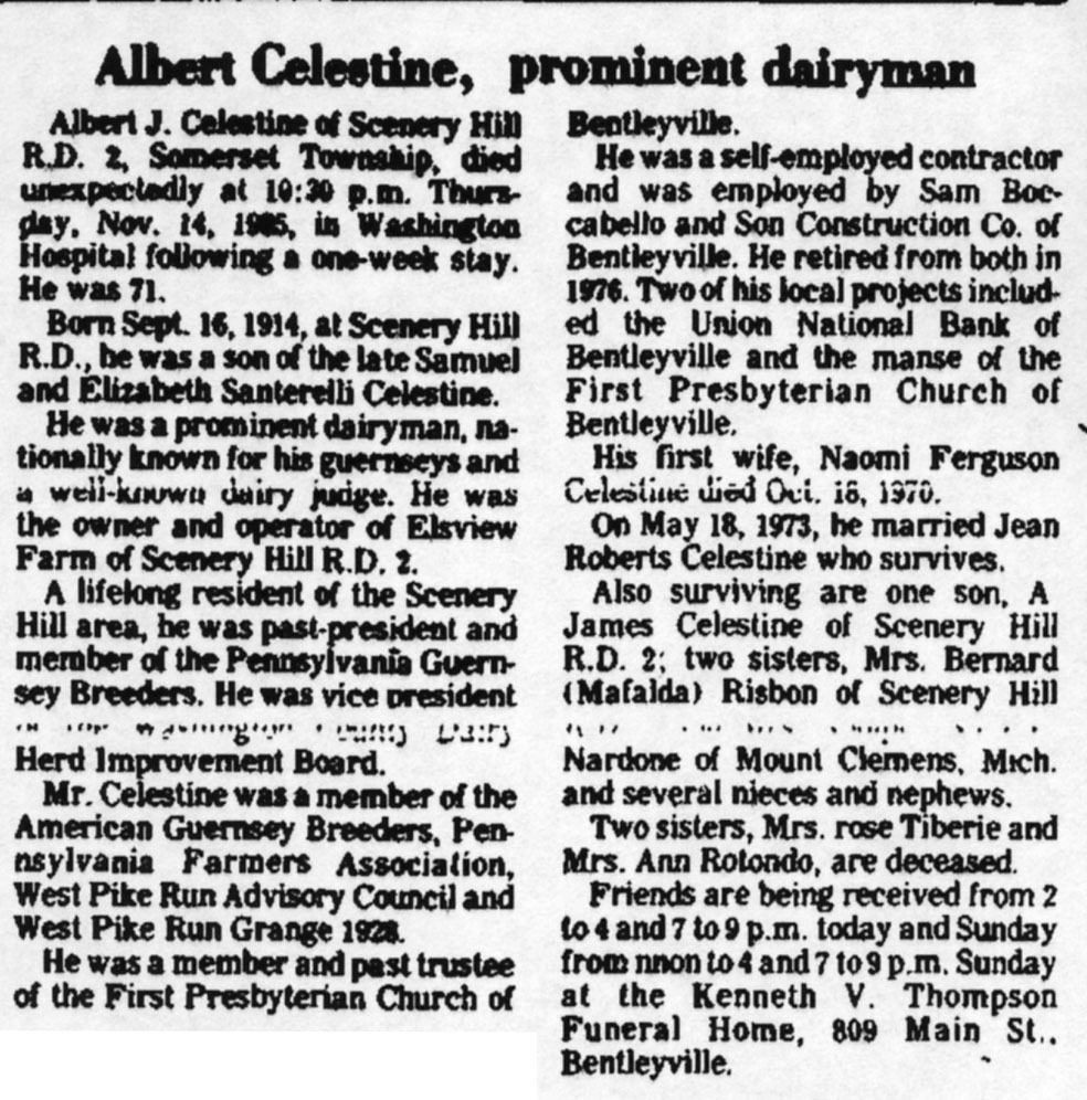Albert Celestine