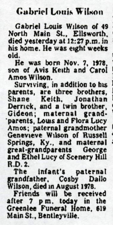 Gabriel Louis Wilson