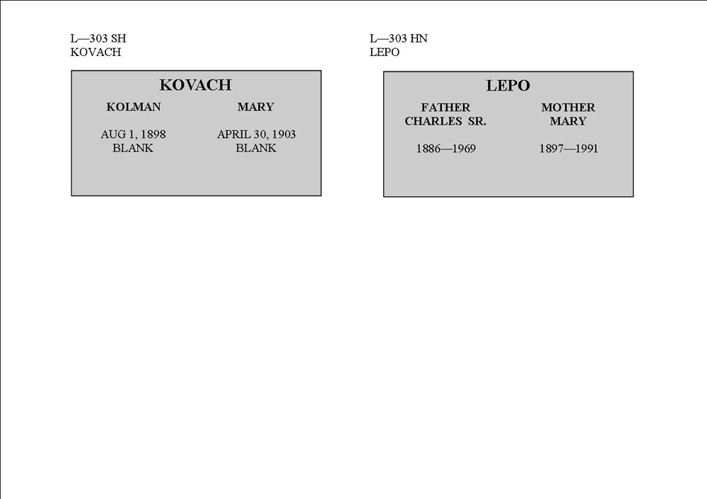 L section 303 plotmap