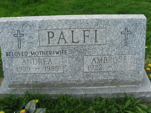 Ambrose and Andrea Palfi
