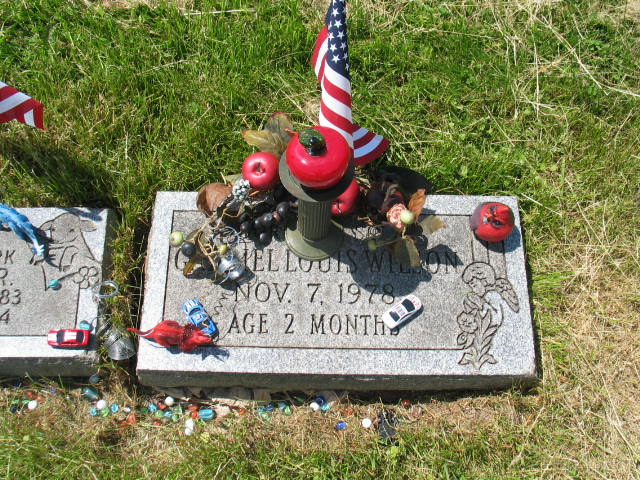 Gabriel Louis Wilson