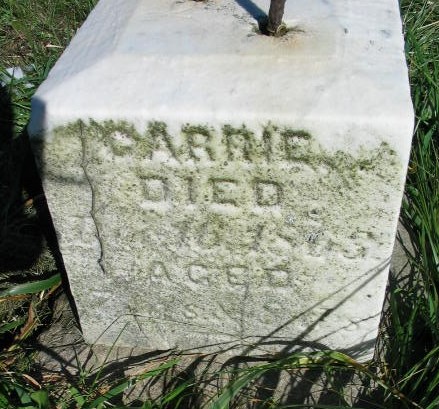 Carrie Craft