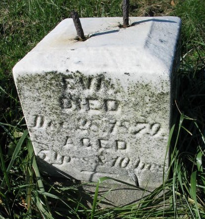 Eva Craft