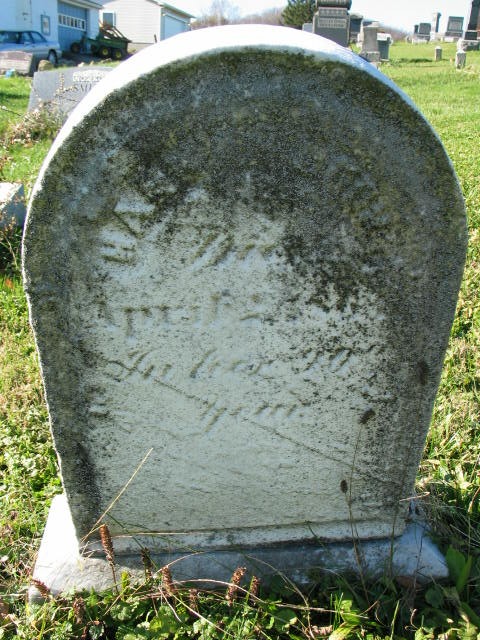 Hannah Cook