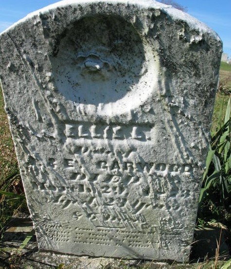 Ellie Garwood