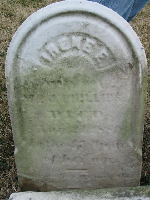 Irene E. Phillips