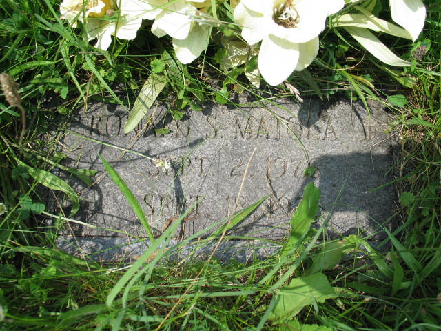 Ronald s. Matola Jr.